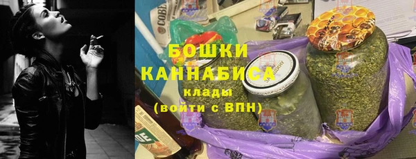 прущие грибы Абинск