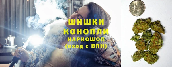 прущие грибы Абинск