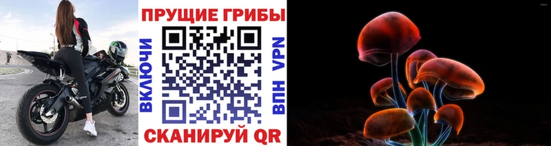 Галлюциногенные грибы MAGIC MUSHROOMS  где купить наркотик  Козловка 