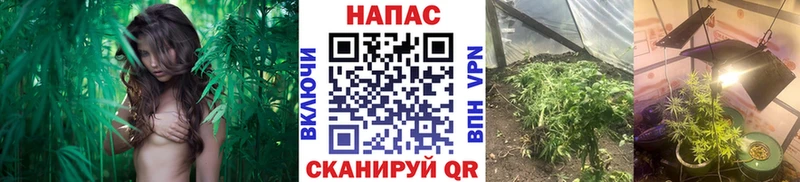МАРИХУАНА тримм  магазин  наркотиков  Козловка 